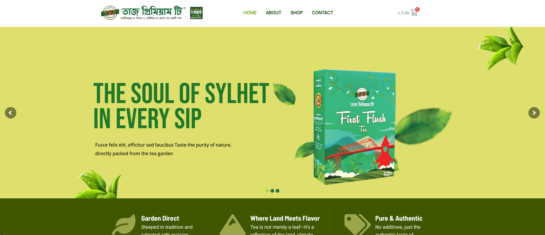 Premium Web Design Experience